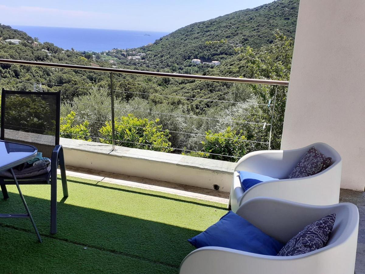 Cap Corse Uribellinu 2 Formule Petit Dejeuner Santa-Maria-di-Lota Luaran gambar