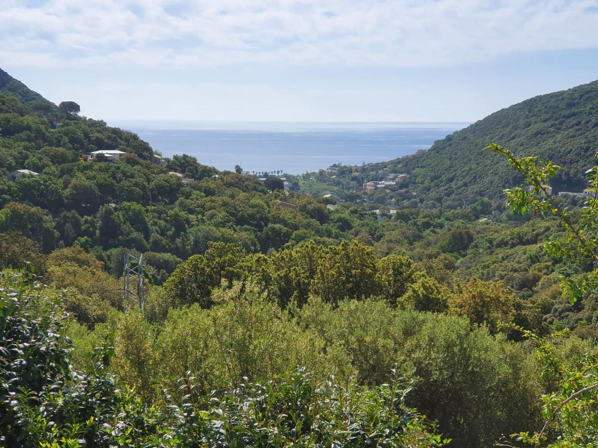 Cap Corse Uribellinu 2 Formule Petit Dejeuner Santa-Maria-di-Lota Luaran gambar